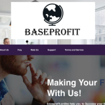 Baseprofit.online Review